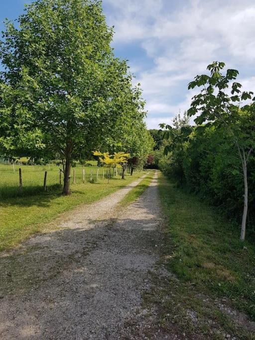 Gite En Lisiere De Foret Andaine Perrou Exterior foto